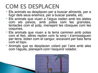 






Els animals es desplacen per a buscar aliments, per a
fugir dels seus enemics, per a buscar parella, etc.
Els animals que viuen a l’aigua naden amb les aletes
com els peixos, amb potes com les granotes,
tentacles com el polp, menejant les closques com les
coquines.
Els animals que viuen a la terra caminen amb potes
com el lleó, altres repten com la serp i s'arrosseguen
per terra, boten com el cangur, excavant per baix terra
com el topo.
Animals que es desplacen volant per l’aire amb ales
com l’àguila, planejant com l’esquirol volador.

 
