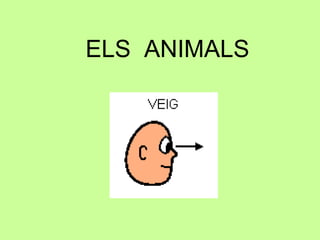 ELS ANIMALS

 