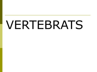 VERTEBRATS
 