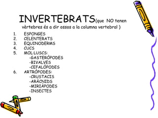 INVERTEBRATS(que NO tenen
vèrtebres és a dir ossos a la columna vertebral )
1. ESPONGES
2. CELENTERATS
3. EQUINODERMS
4. CUCS
5. MOL·LUSCS:
-GASTERÒPODES
-BIVALVES
-CEFALÒPODES
6. ARTRÒPODES:
-CRUSTACIS
-ARÀCNIDS
-MIRIÀPODES
-INSECTES
 