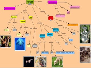 Classificació dels animals