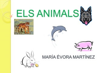 ELS ANIMALS
MARÍA ÉVORA MARTÍNEZ
 