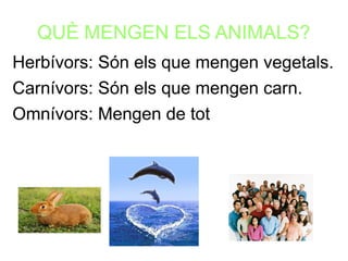 QUÈ MENGEN ELS ANIMALS?
Herbívors: Són els que mengen vegetals.
Carnívors: Són els que mengen carn.
Omnívors: Mengen de tot
 