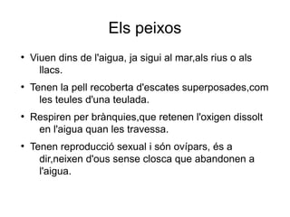 Els peixos
●
Viuen dins de l'aigua, ja sigui al mar,als rius o als
llacs.
●
Tenen la pell recoberta d'escates superposades,com
les teules d'una teulada.
●
Respiren per brànquies,que retenen l'oxigen dissolt
en l'aigua quan les travessa.
●
Tenen reproducció sexual i són ovípars, és a
dir,neixen d'ous sense closca que abandonen a
l'aigua.
 