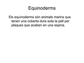 Equinoderms
Els equinoderms són animals marins que
tenen una coberta dura sota la pell per
plaques que acaben en una espina.
 