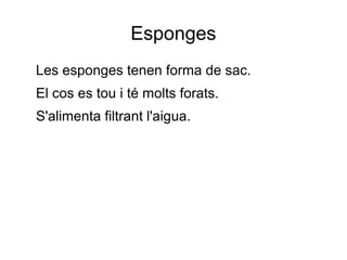 Esponges
Les esponges tenen forma de sac.
El cos es tou i té molts forats.
S'alimenta filtrant l'aigua.
 