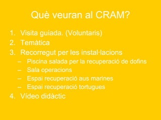Què veuran al CRAM? Visita guiada. (Voluntaris) Temàtica Recorregut per les instal·lacions Piscina salada per la recuperació de dofins Sala operacions Espai recuperació aus marines Espai recuperació tortugues Vídeo didàctic 