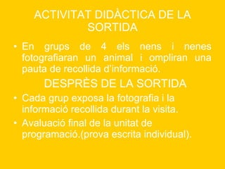 ACTIVITAT DIDÀCTICA DE LA SORTIDA En grups de 4 els nens i nenes fotografiaran un animal i ompliran una pauta de recollida d’informació. DESPRÈS DE LA SORTIDA Cada grup exposa la fotografia i la informació recollida durant la visita. Avaluació final de la unitat de programació.(prova escrita individual). 