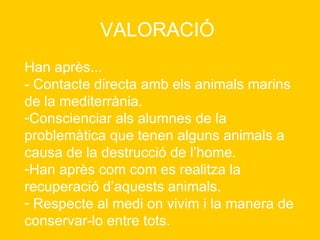 VALORACIÓ  Han après... - Contacte directa amb els animals marins de la mediterrània.  Conscienciar als alumnes de la problemàtica que tenen alguns animals a causa de la destrucció de l’home.  Han après com com es realitza la recuperació d’aquests animals. Respecte al medi on vivim i la manera de conservar-lo entre tots. 