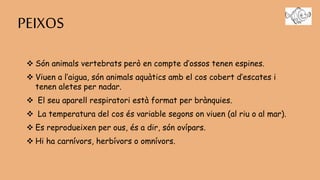 PEIXOS
 Són animals vertebrats però en compte d’ossos tenen espines.
 Viuen a l’aigua, són animals aquàtics amb el cos cobert d’escates i
tenen aletes per nadar.
 El seu aparell respiratori està format per brànquies.
 La temperatura del cos és variable segons on viuen (al riu o al mar).
 Es reprodueixen per ous, és a dir, són ovípars.
 Hi ha carnívors, herbívors o omnívors.
 