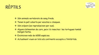 RÈPTILS
 Són animals vertebrats de sang freda.
 Tenen la pell coberta per escates o closques.
 Són ovípars (es reprodueixen per ous).
 Alguns s’alimenten de carn, peix i/o insectes i les tortugues també
mengen herba.
 Existeixen més de 6000 espècies.
 Actualment viuen en tots els continents excepte a l’Antàrtida.
 