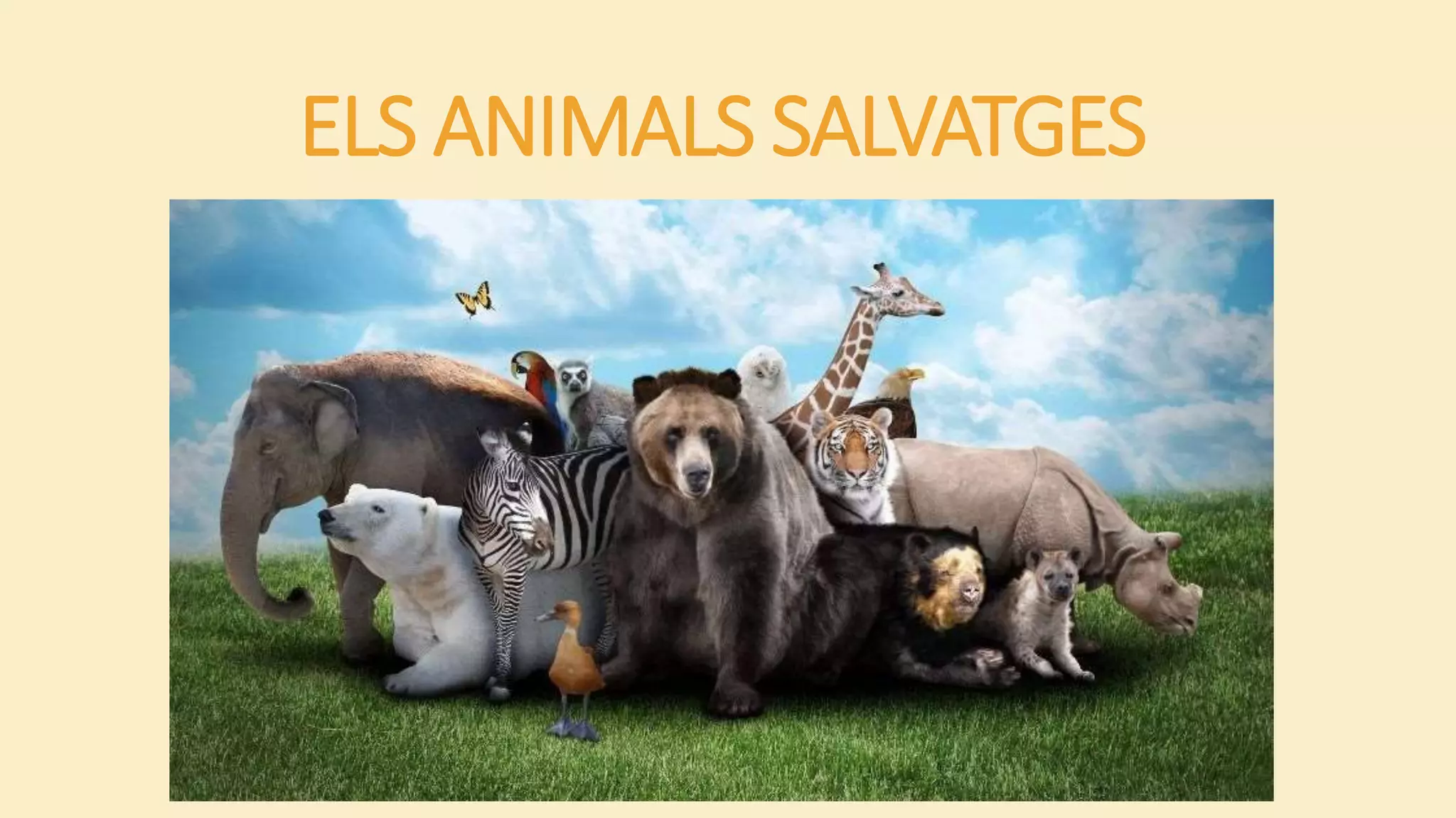 ELS ANIMALS SALVATGES
 