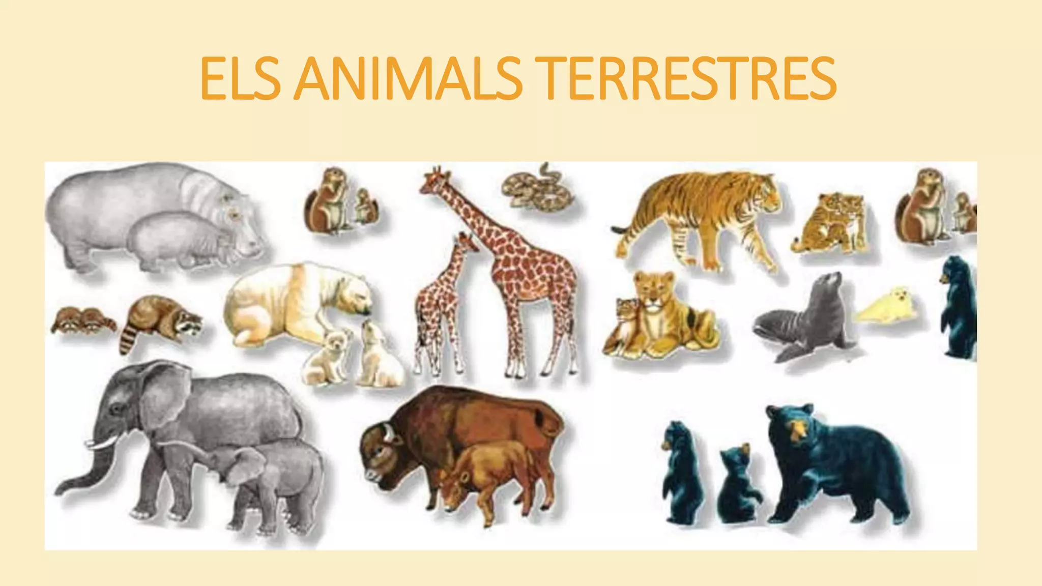 ELS ANIMALS TERRESTRES
 
