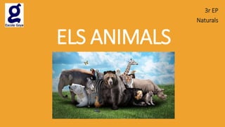 ELS ANIMALS
3r EP
Naturals
 