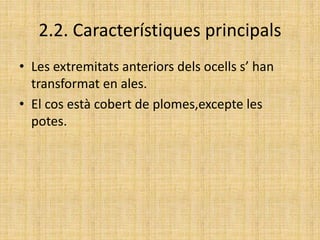 2.2. Característiques principals
• Les extremitats anteriors dels ocells s’ han
transformat en ales.
• El cos està cobert de plomes,excepte les
potes.
 