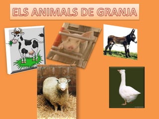 ELS ANIMALS DE GRANJA 