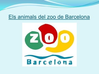 Els animals del zoo de Barcelona 