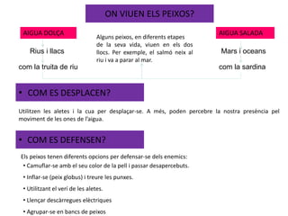 ON VIUEN ELS PEIXOS?
AIGUA DOLÇA AIGUA SALADA
Rius i llacs
com la truita de riu com la sardina
Mars i oceans
Alguns peixos, en diferents etapes
de la seva vida, viuen en els dos
llocs. Per exemple, el salmó neix al
riu i va a parar al mar.
• COM ES DESPLACEN?
• COM ES DEFENSEN?
Utilitzen les aletes i la cua per desplaçar-se. A més, poden percebre la nostra presència pel
moviment de les ones de l’aigua.
Els peixos tenen diferents opcions per defensar-se dels enemics:
• Camuflar-se amb el seu color de la pell i passar desapercebuts.
• Inflar-se (peix globus) i treure les punxes.
• Utilitzant el verí de les aletes.
• Llençar descàrregues elèctriques
• Agrupar-se en bancs de peixos
 