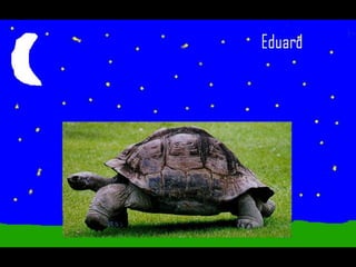 Els animals fons 2n c