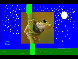 Els animals fons 2n c