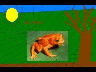 Els animals fons 2n c