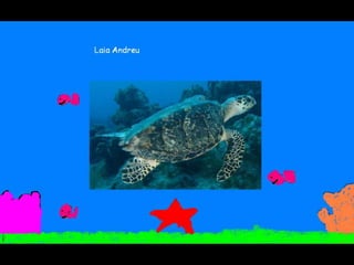 Els animals fons 2n c