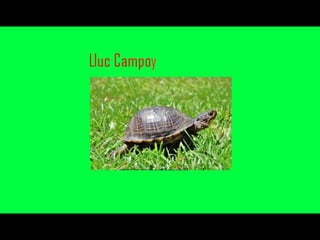 Els animals fons 2n c