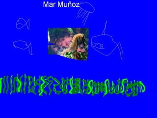 Els animals fons 2n c