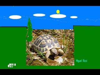 Els animals fons 2n c