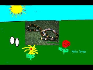 Els animals fons 2n c