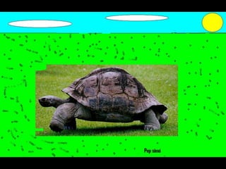 Els animals fons 2n c