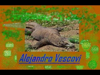 Els animals fons 2n c