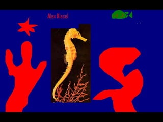 Els animals fons 2n c