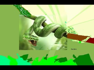 Els animals fons 2n c