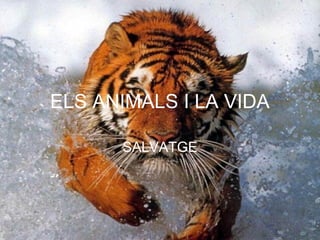 ELS ANIMALS I LA VIDA

      SALVATGE
 