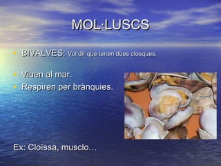 MOL·LUSCS

• BIVALVES: Vol dir que tenen dues closques.

•   Viuen al mar.
•   Respiren per brànquies.




Ex: Cloïssa, musclo…
 