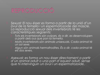 

Sexual: El nou ésser es forma a partir de la unió d’un
òvul de la femella i un espermatozoide del mascle.
La reproducció sexual dels invertebrats té les
característiques següents:






Tots els invertebrats són ovípars, és a dir, es desenvolupen
a partir dels ous que pon la femella.
Molts invertebrats són animals unisexuals. Cada animal té
un sol sexe.
Algun són animals hermafrodites. És a dir, cada animal té
els dos sexes.

Asexual: es forma un nou ésser directament a partir
d’un animal adult o una part d’aquest adult, sense
que hi intervinguin un òvul i un espermatozoide.

 