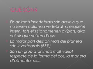 




Els animals invertebrats són aquells que
no tenen columna vertebral ni esquelet
intern, tots ells s’anomenen ovípars, això
vol dir que neixen d’ous.
La major part dels animals del planeta
són invertebrats (85%)
Són un grup d’animals molt variat
respecte de la forma del cos, la manera
d’alimentar-se,...

 