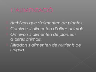 




 

Herbívors que s’alimenten de plantes.
Carnívors s’alimenten d’altres animals
Omnívors s’alimenten de plantes i
d’altres animals.
Filtradors s’alimenten de nutrients de
l’aigua.

 