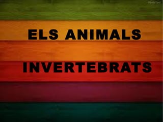 ELS ANIMALS 
INVERTEBRATS 
 