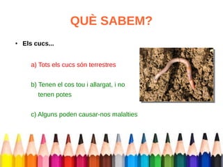 QUÈ SABEM? 
● Els cucs... 
a) Tots els cucs són terrestres 
b) Tenen el cos tou i allargat, i no 
tenen potes 
c) Alguns poden causar-nos malalties 
 