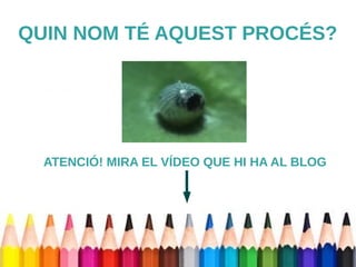 QUIN NOM TÉ AQUEST PROCÉS? 
ATENCIÓ! MIRA EL VÍDEO QUE HI HA AL BLOG 
 