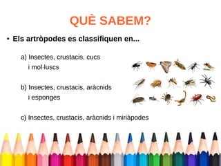 QUÈ SABEM? 
● Els artròpodes es classifiquen en... 
a) Insectes, crustacis, cucs 
i mol·luscs 
b) Insectes, crustacis, aràcnids 
i esponges 
c) Insectes, crustacis, aràcnids i miriàpodes 
 