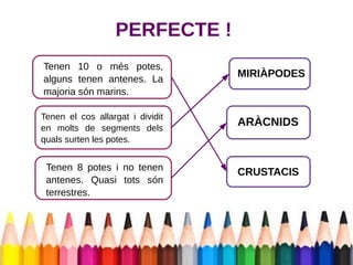 PERFECTE ! 
Tenen 10 o més potes, 
alguns tenen antenes. La 
majoria són marins. 
Tenen el cos allargat i dividit 
en molts de segments dels 
quals surten les potes. 
Tenen 8 potes i no tenen 
antenes. Quasi tots són 
terrestres. 
MIRIÀPODES 
ARÀCNIDS 
CRUSTACIS 
 