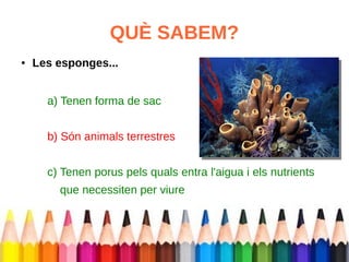 QUÈ SABEM? 
● Les esponges... 
a) Tenen forma de sac 
b) Són animals terrestres 
c) Tenen porus pels quals entra l'aigua i els nutrients 
que necessiten per viure 
 