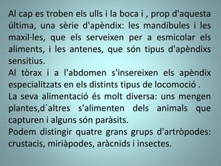 Els animals invertebrats | PPTX