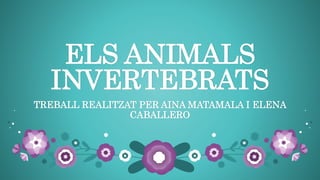 ELS ANIMALS
INVERTEBRATS
TREBALL REALITZAT PER AINA MATAMALA I ELENA
CABALLERO
 