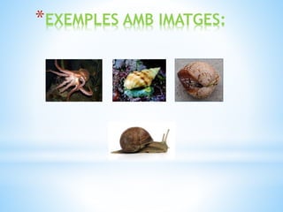 *EXEMPLES AMB IMATGES:
 