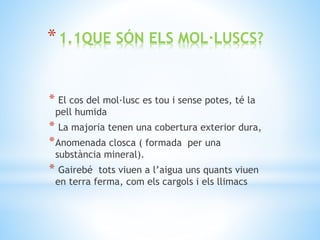 *1.1QUE SÓN ELS MOL·LUSCS?
* El cos del mol·lusc es tou i sense potes, té la
pell humida
* La majoria tenen una cobertura exterior dura,
*Anomenada closca ( formada per una
substància mineral).
* Gairebé tots viuen a l’aigua uns quants viuen
en terra ferma, com els cargols i els llimacs
 