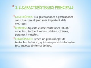* 2.2.CARACTERÍSTIQUES PRINCIPALS
*GASTERÒPDES: Els gasteròpodes o gastròpodes
constitueixen el grup més important dels
mol·luscs.
*BIVALVES: Aquesta classe conté unes 30.000
espècies , incloent ostres, vieires, cloïsses,
petxines i musclos.
*CEFALÒPODES: Tenen un gran rodejat de
tentacles, la boca , quintosa que es troba entre
tots aquests té forma de bec.
 